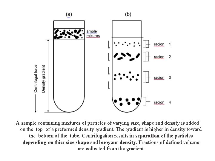 A sample containing mixtures of particles of varying size, shape and density is added