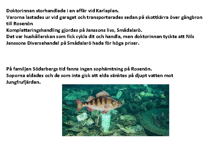 Doktorinnan storhandlade i en affär vid Karlaplan. Varorna lastades ur vid garaget och transporterades