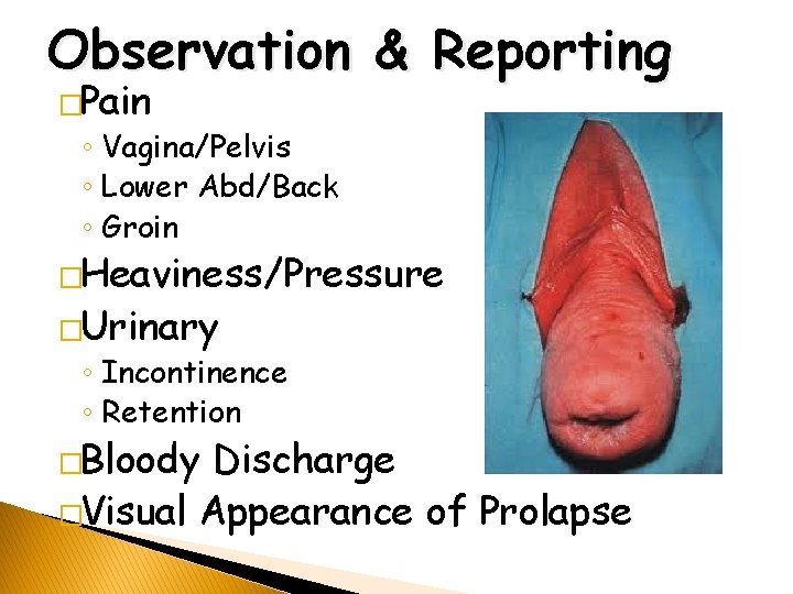 Observation & Reporting �Pain ◦ Vagina/Pelvis ◦ Lower Abd/Back ◦ Groin �Heaviness/Pressure �Urinary ◦