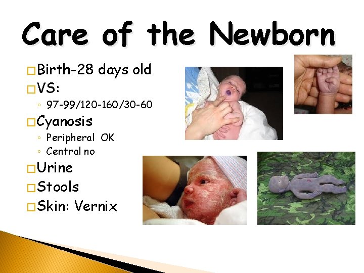 Care of the Newborn � Birth-28 days old � VS: ◦ 97 -99/120 -160/30
