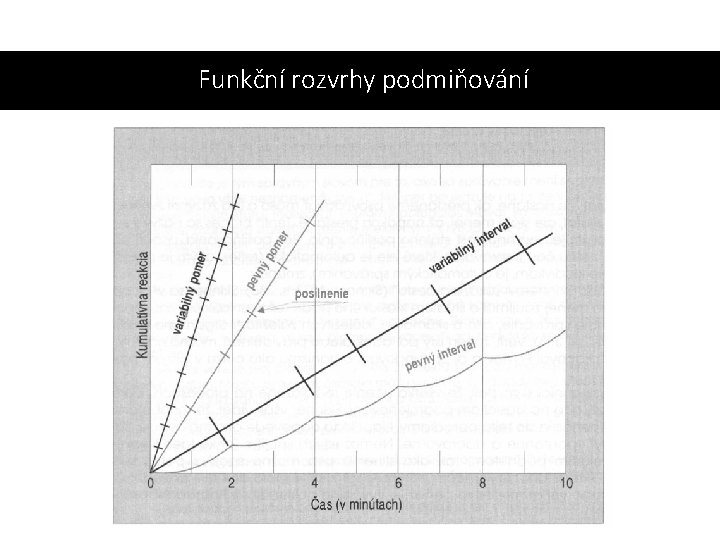 Funkční rozvrhy podmiňování 