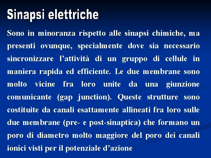 Sono in minoranza rispetto alle sinapsi chimiche, ma presenti ovunque, specialmente dove sia necessario