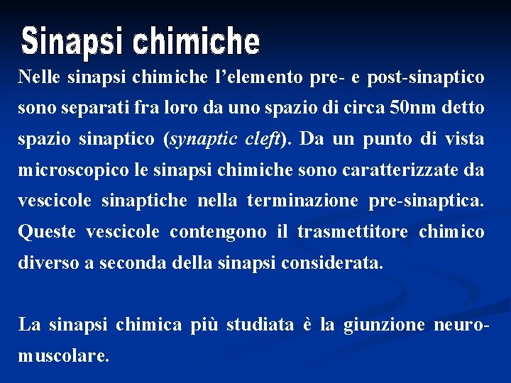 Nelle sinapsi chimiche l’elemento pre- e post-sinaptico sono separati fra loro da uno spazio