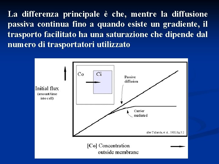 La differenza principale è che, mentre la diffusione passiva continua fino a quando esiste