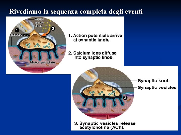 Rivediamo la sequenza completa degli eventi 