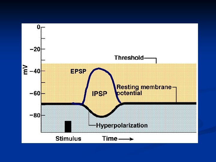 EPSP 