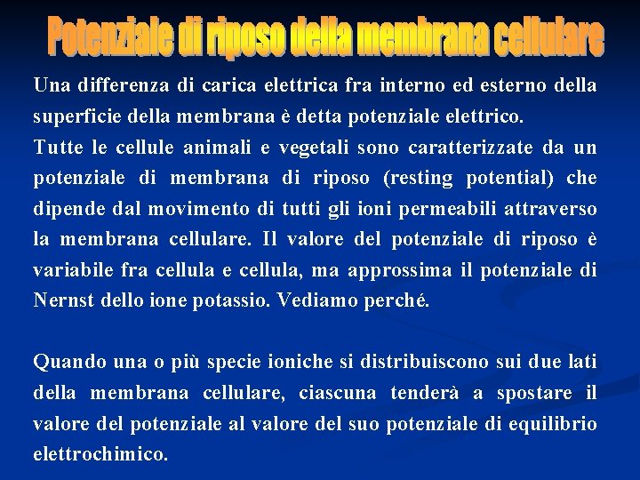 Una differenza di carica elettrica fra interno ed esterno della superficie della membrana è