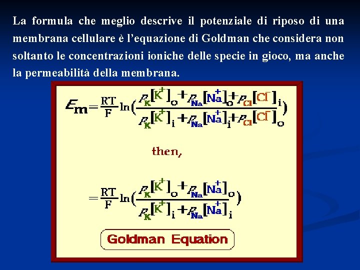 La formula che meglio descrive il potenziale di riposo di una membrana cellulare è