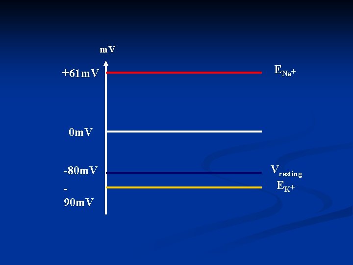 m. V +61 m. V ENa+ 0 m. V -80 m. V 90 m.