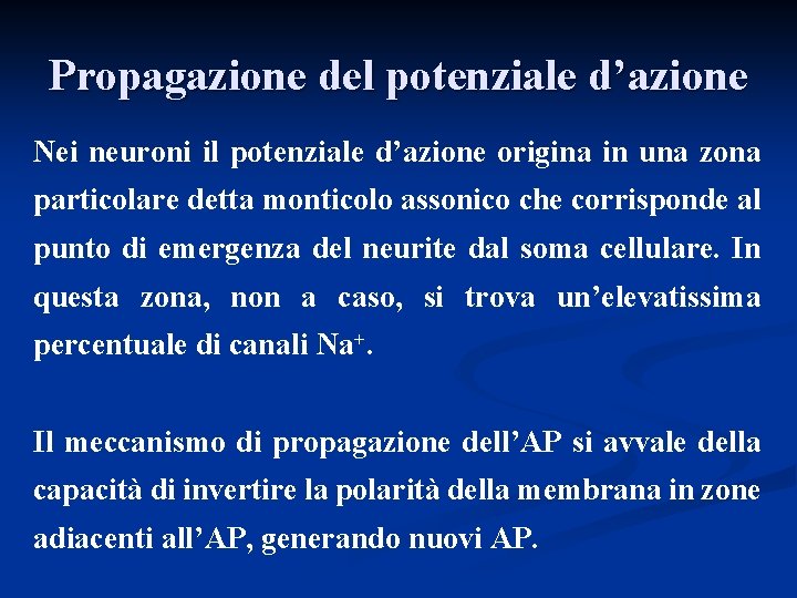 Propagazione del potenziale d’azione Nei neuroni il potenziale d’azione origina in una zona particolare