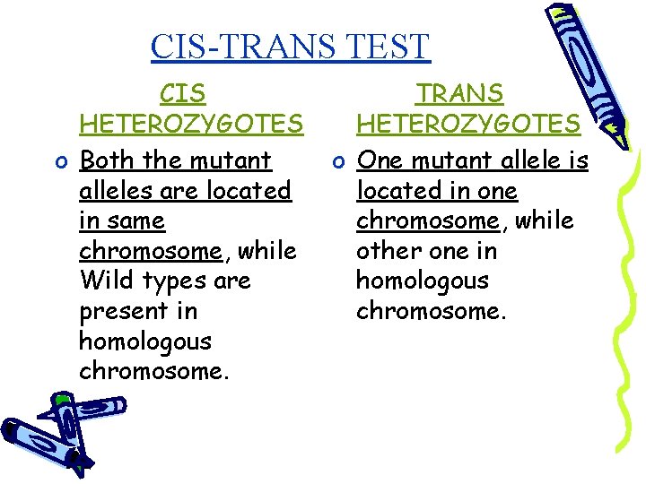 CIS-TRANS TEST CIS HETEROZYGOTES o Both the mutant alleles are located in same chromosome,