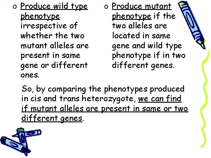 o Produce wild type phenotype irrespective of whether the two mutant alleles are present
