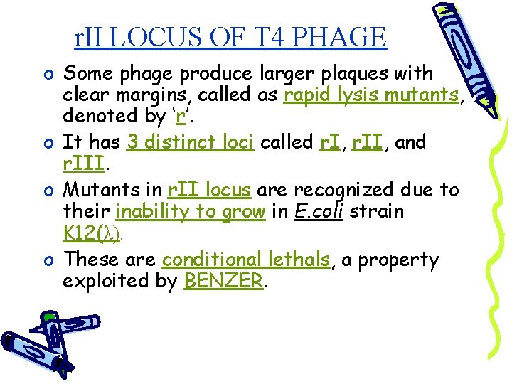 r. II LOCUS OF T 4 PHAGE o Some phage produce larger plaques with