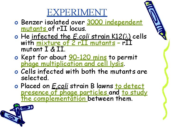 EXPERIMENT o Benzer isolated over 3000 independent mutants of r. II locus. o He