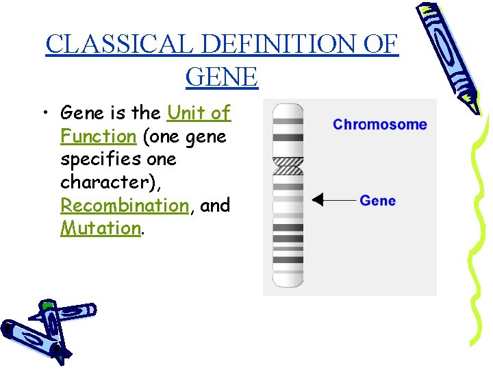 CLASSICAL DEFINITION OF GENE • Gene is the Unit of Function (one gene specifies