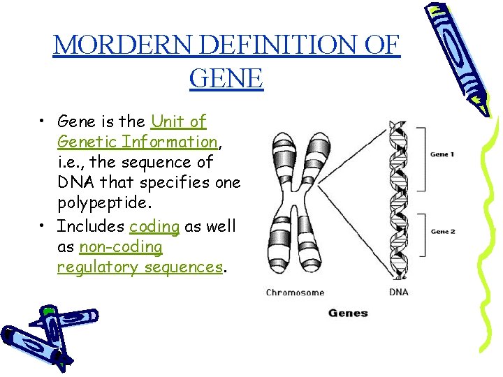 MORDERN DEFINITION OF GENE • Gene is the Unit of Genetic Information, i. e.