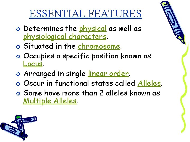 ESSENTIAL FEATURES o Determines the physical as well as physiological characters. o Situated in