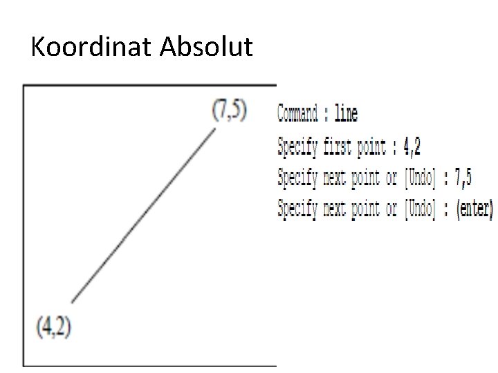 Koordinat Absolut 