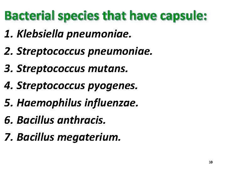 Bacterial species that have capsule: 1. Klebsiella pneumoniae. 2. Streptococcus pneumoniae. 3. Streptococcus mutans.