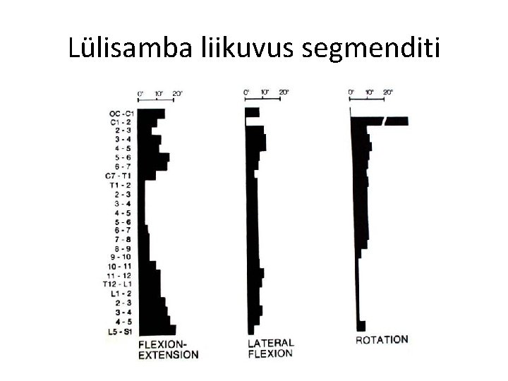 Lülisamba liikuvus segmenditi 