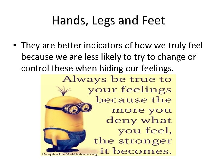 Hands, Legs and Feet • They are better indicators of how we truly feel