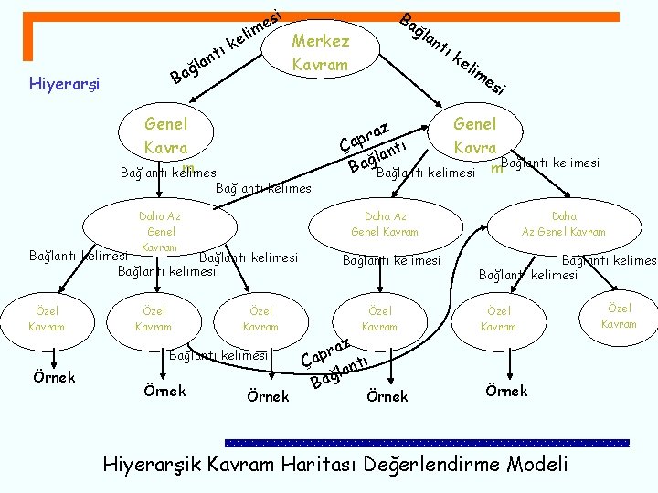 Hiyerarşi i e ık nt ğla Ba es m li Bağlantı kelimesi Özel Kavram