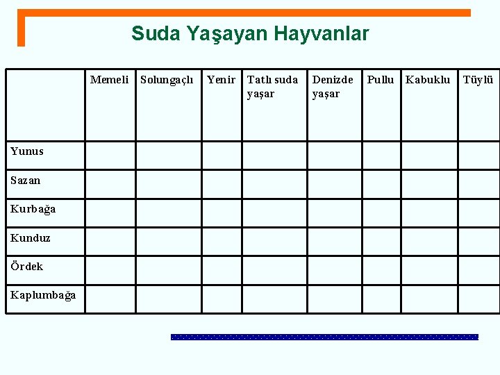 Suda Yaşayan Hayvanlar Memeli Yunus Sazan Kurbağa Kunduz Ördek Kaplumbağa Solungaçlı Yenir Tatlı suda