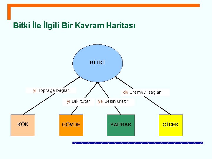 Bitki İle İlgili Bir Kavram Haritası BİTKİ yi Toprağa bağlar yi Dik tutar KÖK