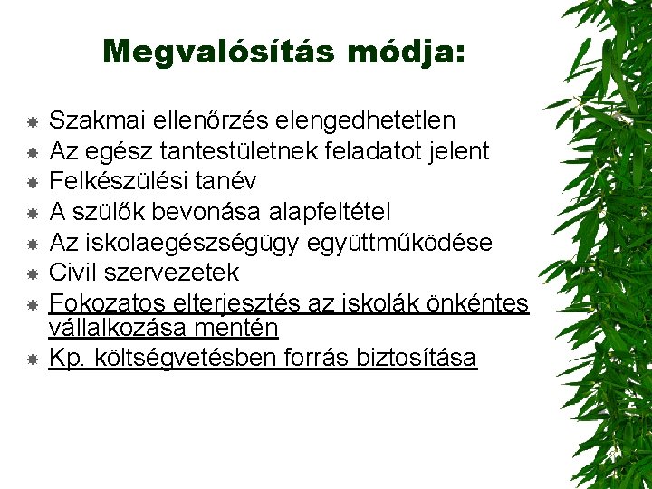 Megvalósítás módja: Szakmai ellenőrzés elengedhetetlen Az egész tantestületnek feladatot jelent Felkészülési tanév A szülők