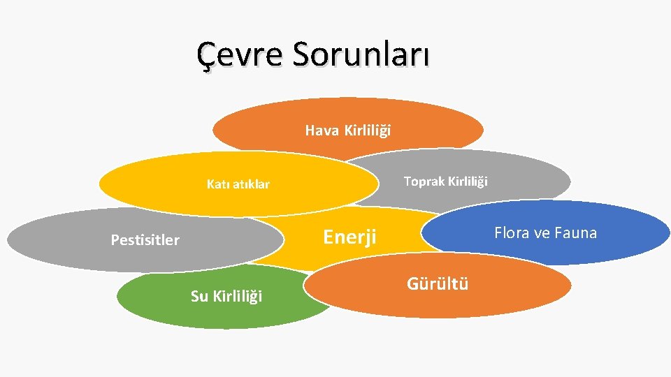 Çevre Sorunları Hava Kirliliği Toprak Kirliliği Katı atıklar Flora ve Fauna Enerji Pestisitler Su