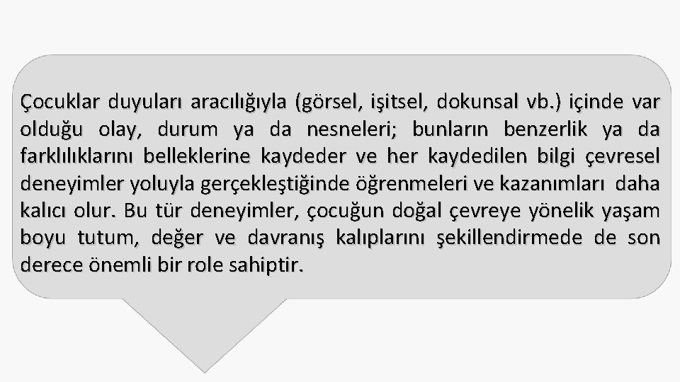 Çocuklar duyuları aracılığıyla (görsel, işitsel, dokunsal vb. ) içinde var olduğu olay, durum ya