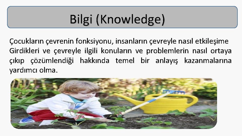 Bilgi (Knowledge) Çocukların çevrenin fonksiyonu, insanların çevreyle nasıl etkileşime Girdikleri ve çevreyle ilgili konuların