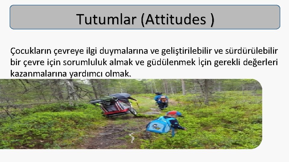 Tutumlar (Attitudes ) Çocukların çevreye ilgi duymalarına ve geliştirilebilir ve sürdürülebilir bir çevre için