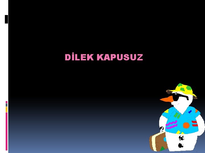 DİLEK KAPUSUZ 