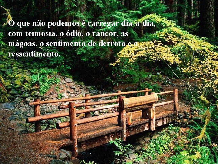 O que não podemos é carregar dia-a-dia, com teimosia, o ódio, o rancor, as O que não podemos é carregar dia-a-dia, com teimosia, o ódio, o rancor, as