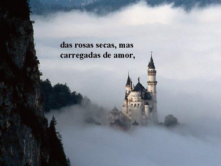das rosas secas, mas carregadas de amor, das rosas secas, mas carregadas de amor,