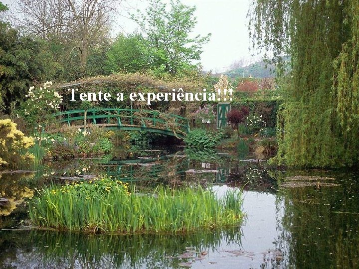 Tente a experiência!!! Tente a experiência!!!