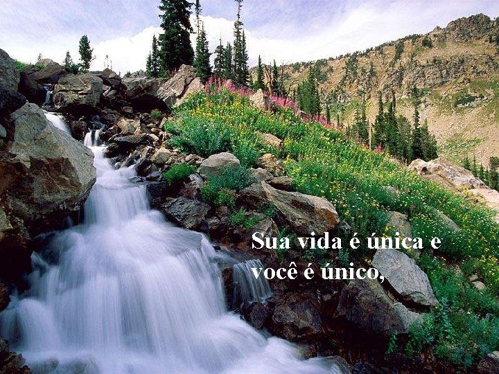 Sua vida é única e você é único, 