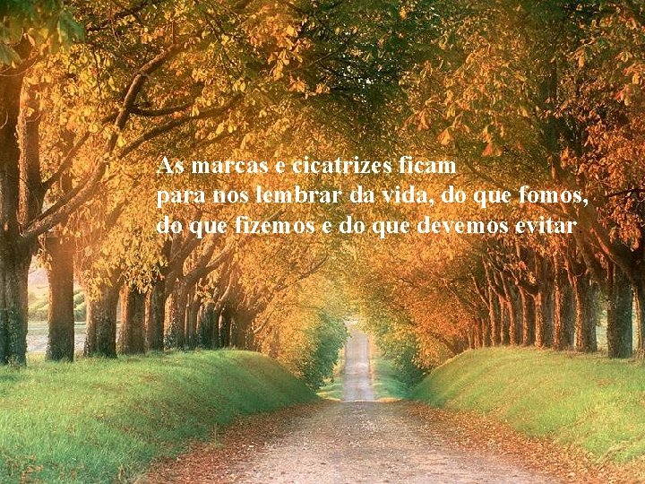 As marcas e cicatrizes ficam para nos lembrar da vida, do que fomos, do As marcas e cicatrizes ficam para nos lembrar da vida, do que fomos, do