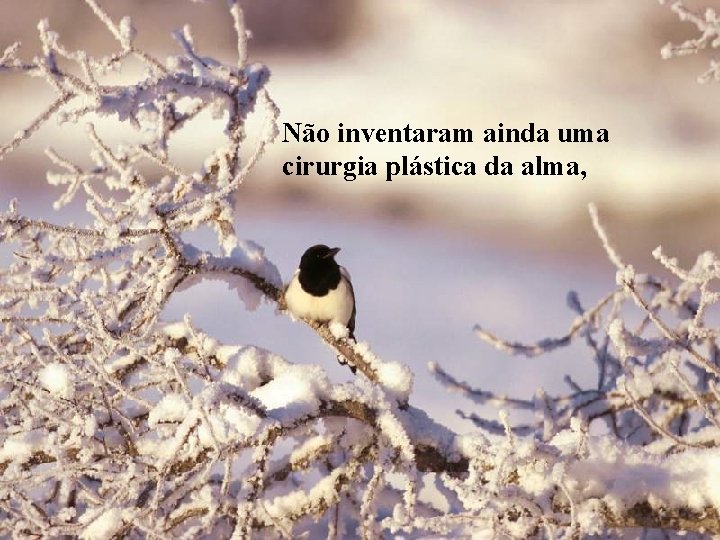 Não inventaram ainda uma cirurgia plástica da alma, Não inventaram ainda uma cirurgia plástica da alma,