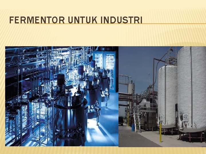FERMENTOR UNTUK INDUSTRI 