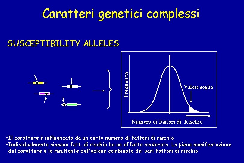 Caratteri genetici complessi Frequenza SUSCEPTIBILITY ALLELES Valore soglia Numero di Fattori di Rischio •