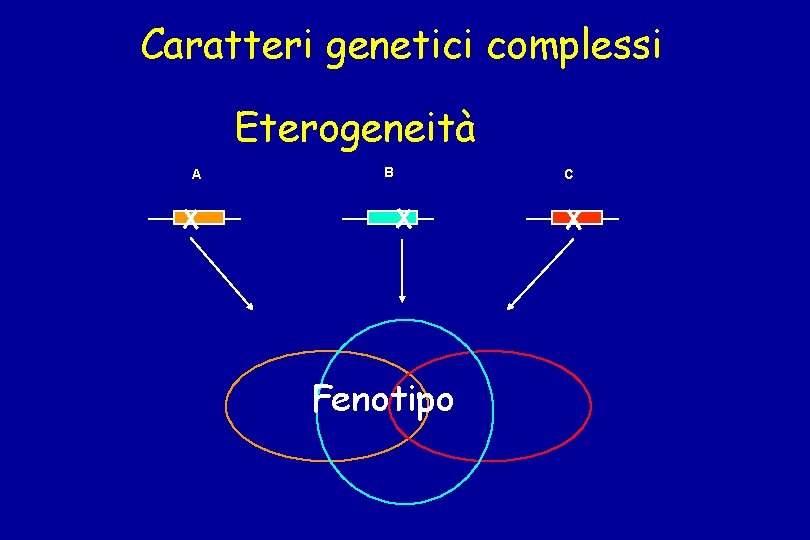 Caratteri genetici complessi Eterogeneità A B Fenotipo C 