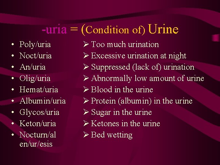 -uria = (Condition of) Urine • • • Poly/uria Noct/uria An/uria Olig/uria Hemat/uria Albumin/uria