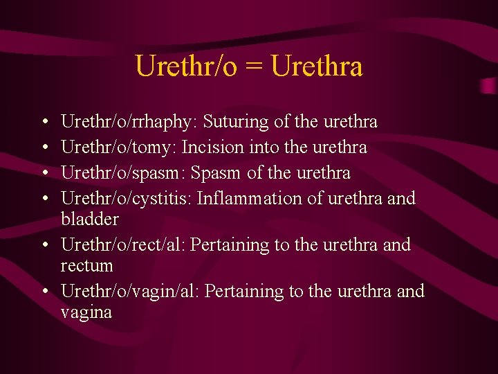 Urethr/o = Urethra • • Urethr/o/rrhaphy: Suturing of the urethra Urethr/o/tomy: Incision into the