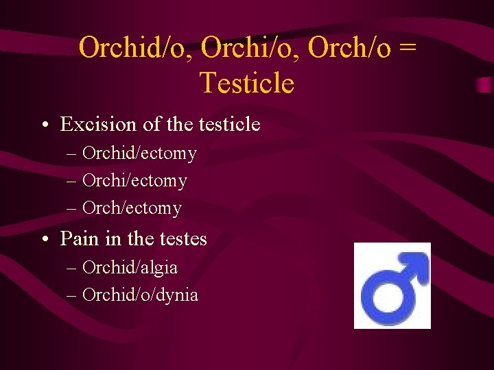 Orchid/o, Orchi/o, Orch/o = Testicle • Excision of the testicle – Orchid/ectomy – Orchi/ectomy