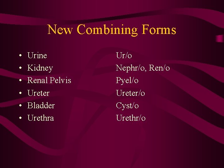 New Combining Forms • • • Urine Kidney Renal Pelvis Ureter Bladder Urethra Ur/o