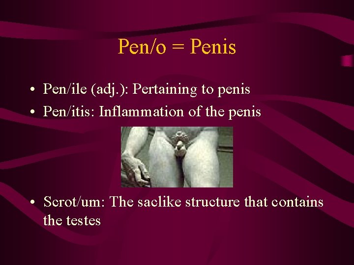 Pen/o = Penis • Pen/ile (adj. ): Pertaining to penis • Pen/itis: Inflammation of