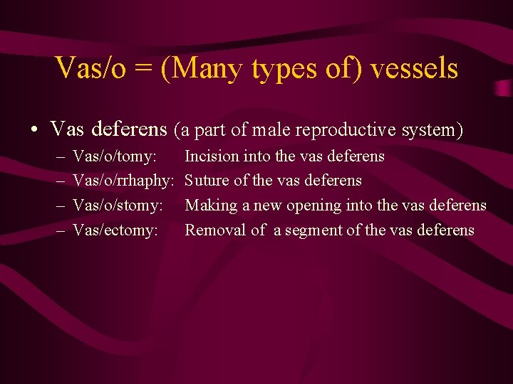 Vas/o = (Many types of) vessels • Vas deferens (a part of male reproductive
