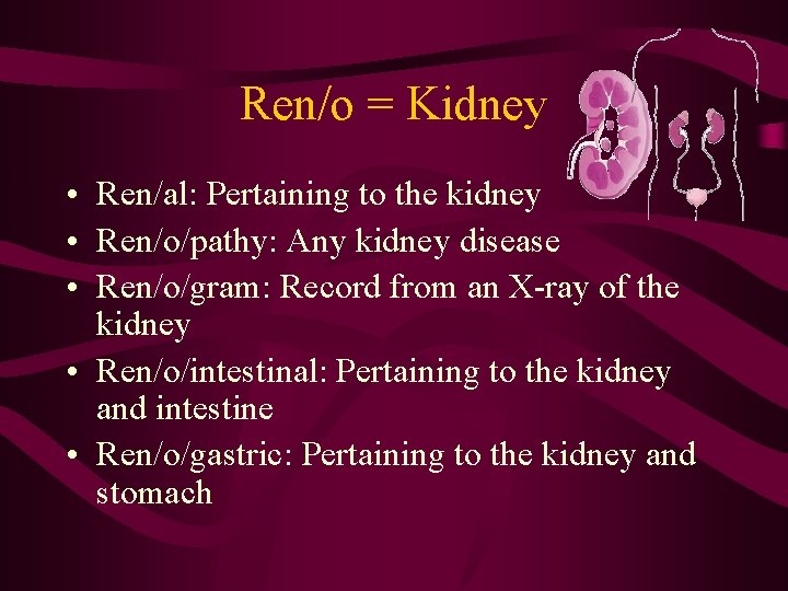 Ren/o = Kidney • Ren/al: Pertaining to the kidney • Ren/o/pathy: Any kidney disease